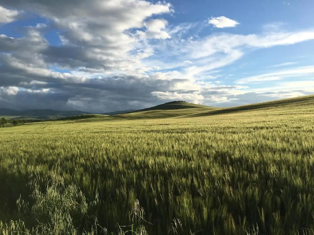 Casale Santa Barbara Ξενοδοχείο Montefollonico